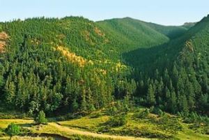 賀蘭山國家森林公園 賀蘭山國家森林公園