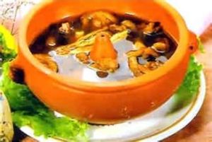 腎康寧湯 腎康寧湯