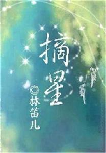 小說摘星