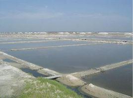 三大鹽場 三大鹽場