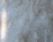 羊毛虱病 羊毛虱病