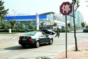 停車視距 停車視距