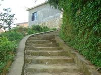 攀枝花上村 攀枝花上村