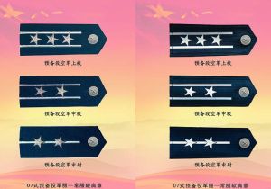 預備役軍官軍銜