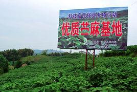 石河鎮[四川省達州市大竹縣石河鎮]