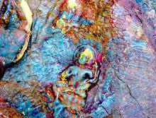 尼泊爾聖地帕平綠度母天然浮石