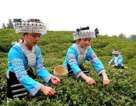 德新鎮[貴州省黔南州貴定縣德新鎮]