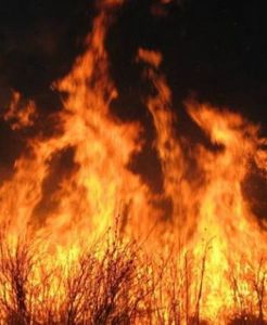 大興安嶺火災 大興安嶺火災