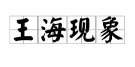 王海現象 王海現象