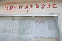 聯盟村[江蘇省常熟市虞山鎮興福管理區下轄村]