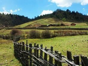 蘭坪羅古箐風景區 蘭坪羅古箐風景區