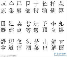 漢字拉丁化 漢字拉丁化