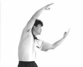 八卦獅形掌 八卦獅形掌