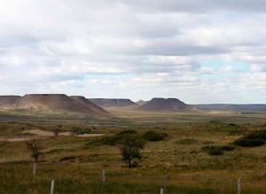 貝力克牧場 貝力克牧場