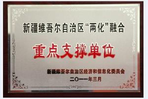 自治區“兩化融合”重點支撐單位