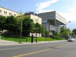 Université Montréal