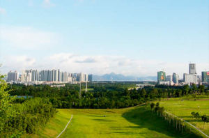 深圳大沙河公園 深圳大沙河公園