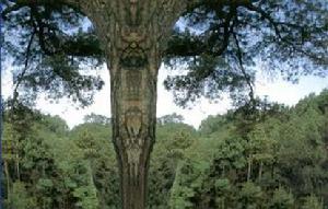 （圖）南陽盆地