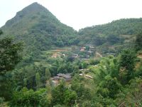 上李子梅自然村 上李子梅自然村