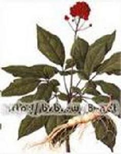 補血薯[補血薯]