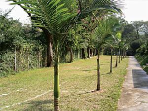 特克斯和凱科斯群島