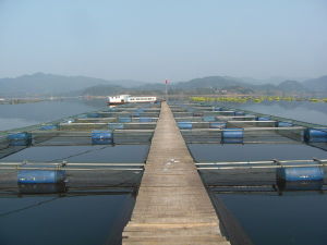 陳家灘鄉 陳家灘鄉