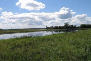 湯旺河流域濕地 湯旺河流域濕地