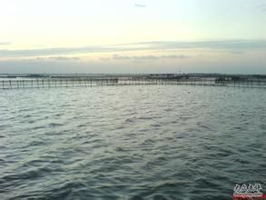 蘇記蟹莊 蘇記蟹莊