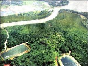 東寨港紅樹林海岸