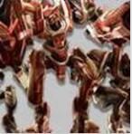 時宇十世紀 時宇十世紀