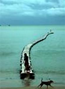 普吉府[泰國行政區劃]