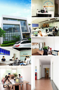 盛世寶典科技有限公司圖