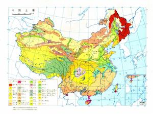 中國土壤地理