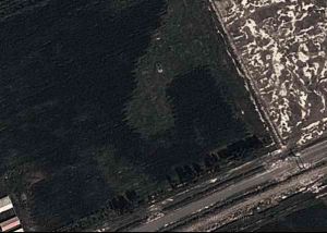 高林屯種畜場 高林屯種畜場