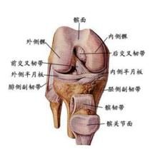 急性軟組織損傷