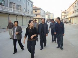 陳瑤湖鎮 陳瑤湖鎮