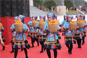 第十五屆中國瑤族盤王節 第十五屆中國瑤族盤王節