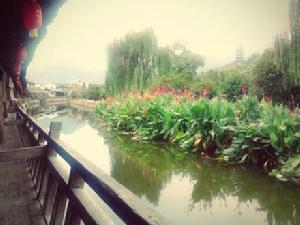 麗水街[溫州市永嘉縣岩頭鎮麗水街]