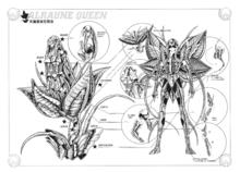 聖鬥士星矢[車田正美原作的漫畫]