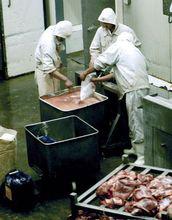 工人正在選修，剔除肉塊筋膜