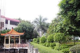 黃粘洲社區 黃粘洲社區