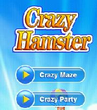 瘋狂地鼠 瘋狂地鼠