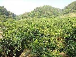 沙溪鄉[福建明溪縣沙溪鄉]