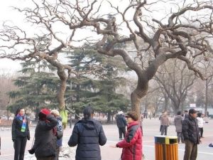 東單公園 東單公園
