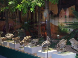榆社縣化石博物館
