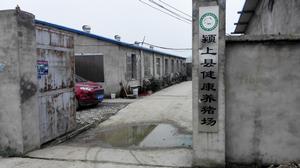 彭廟村[安徽省潁上縣六十鋪鎮彭廟村]