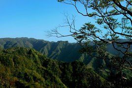 石柱黃水森林公園 石柱黃水森林公園