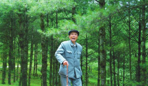 楊善洲先進事跡