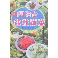 庭園陽台盆栽蔬菜