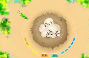 打蟲子保蛋蛋 打蟲子保蛋蛋